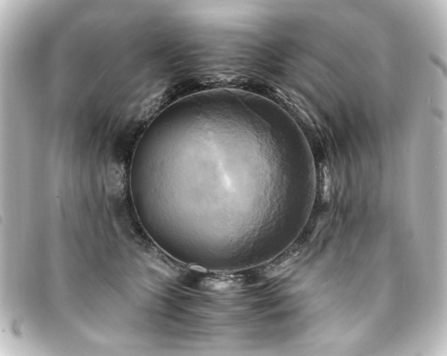 X0000094370563200711021532