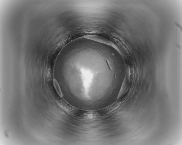X0000094370564200711021532