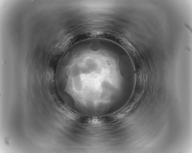 X0000094370565200711021532