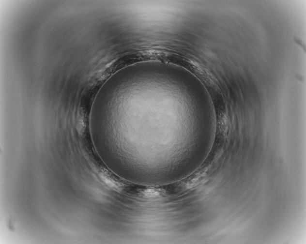 X0000094370566200711021532