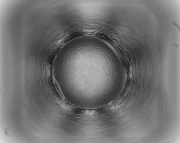 X0000094370570200711021532