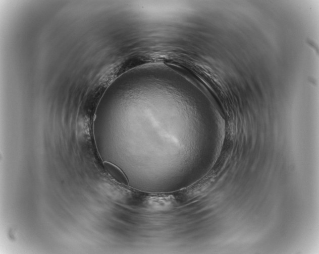 X0000094370571200711021532