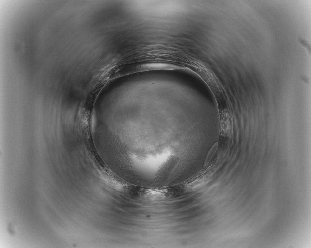 X0000094370573200711021532