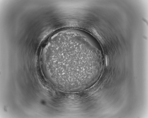 X0000094370579200711021531