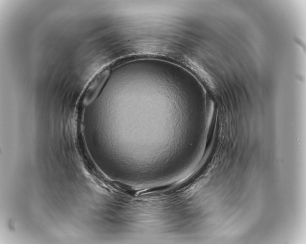 X0000094370580200711021531