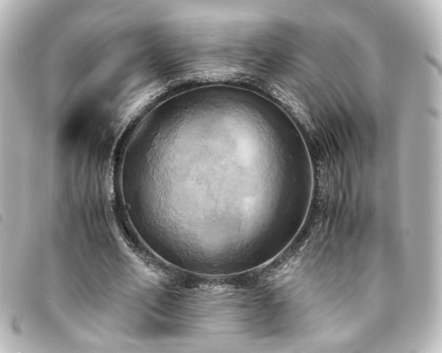 X0000094370582200711021531