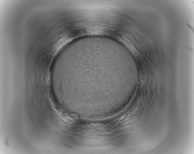 X0000094370583200711021531