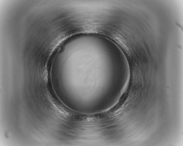 X0000094370584200711021531
