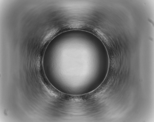 X0000094370586200711021531