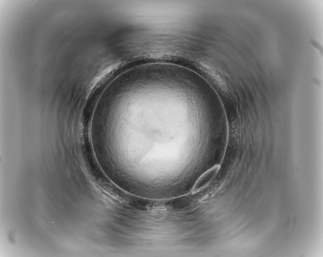 X0000094370587200711021531