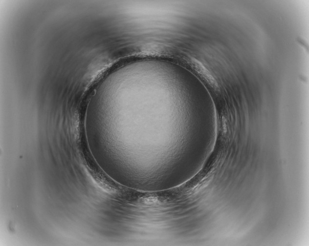 X0000094370588200711021531
