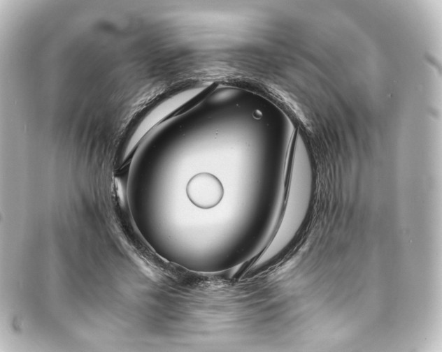 X0000094370589200711021531