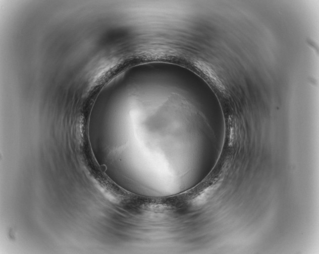 X0000094370590200711021531