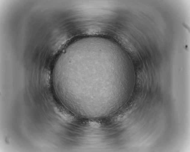 X0000094370592200711021531