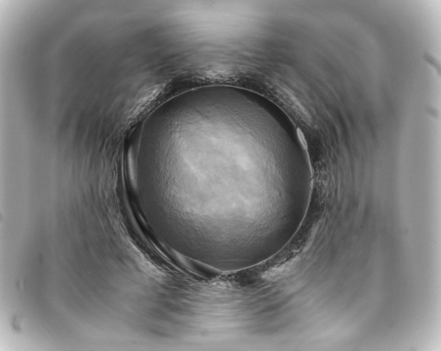 X0000094370593200711021531