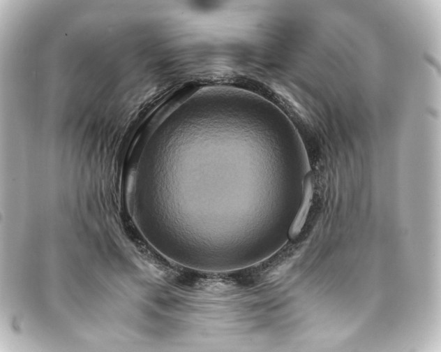 X0000094370597200711021531
