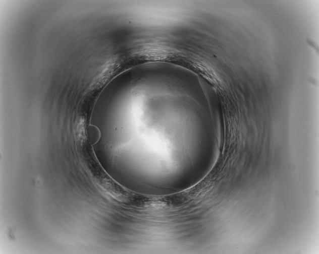 X0000094370598200711021531