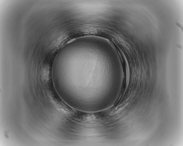 X0000094370600200711021531
