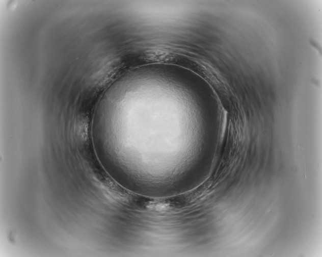 X0000094370602200711021531