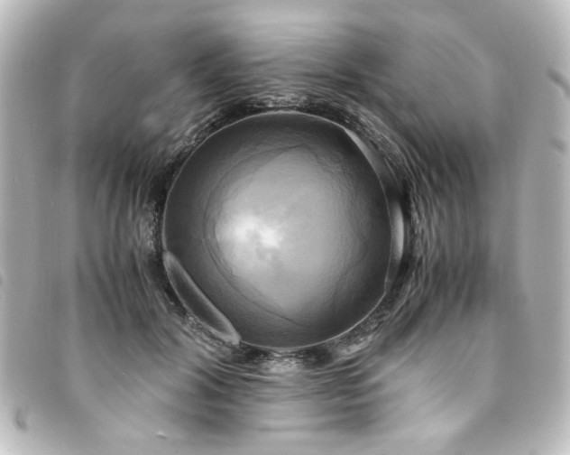 X0000094370604200711021531