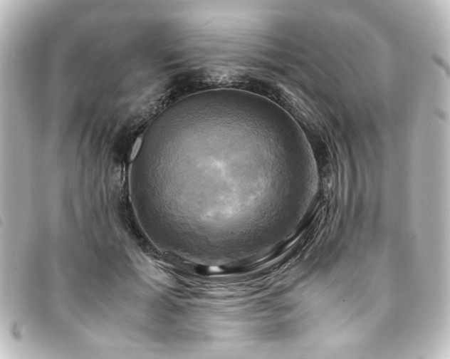 X0000094370605200711021531