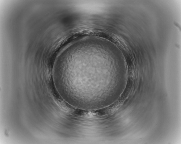 X0000094370607200711021531