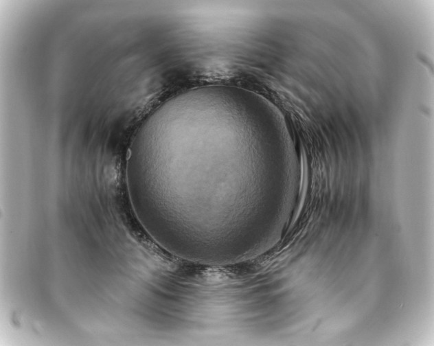 X0000094370608200711021531