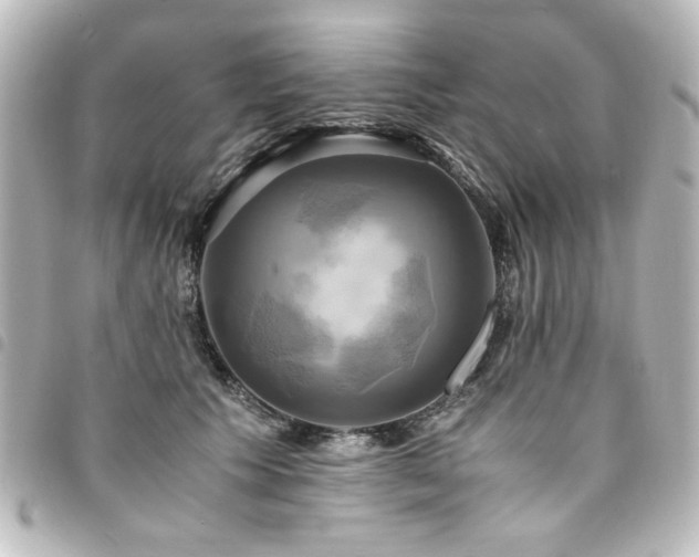 X0000094370609200711021531
