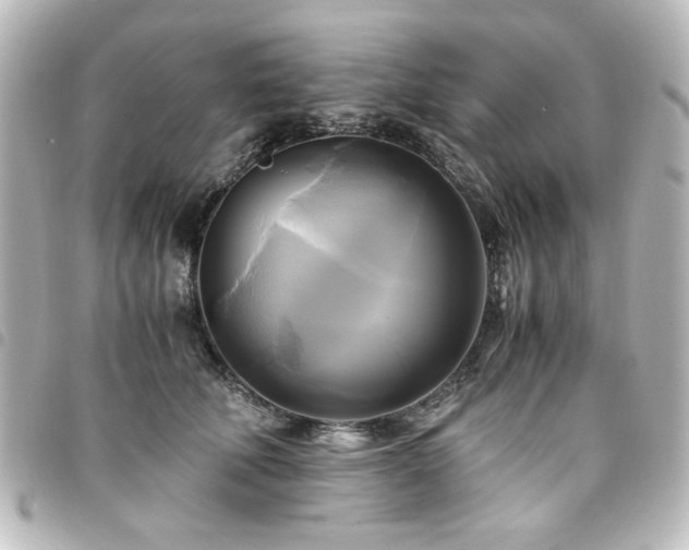 X0000094370610200711021531