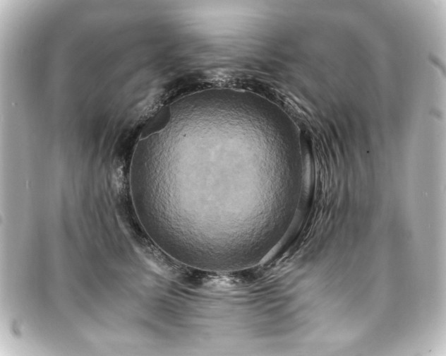 X0000094370611200711021531