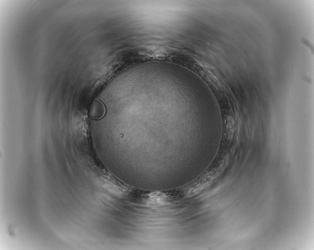 X0000094370612200711021531