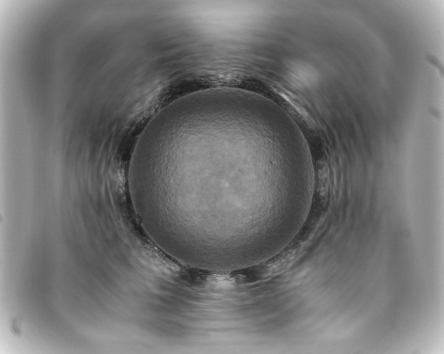 X0000094370613200711021531