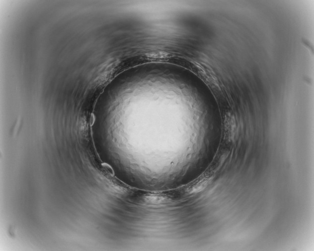 X0000094370614200711021531