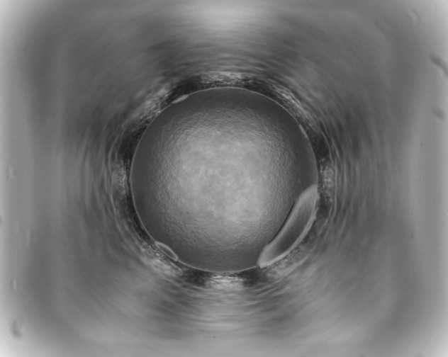 X0000094370617200711021531