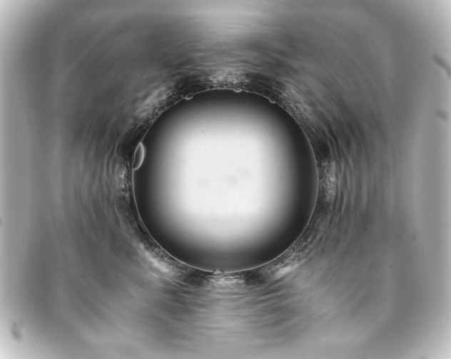 X0000094370619200711021531
