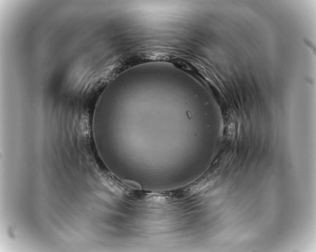 X0000094370620200711021531