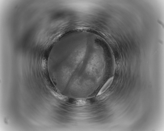 X0000094370623200711021531