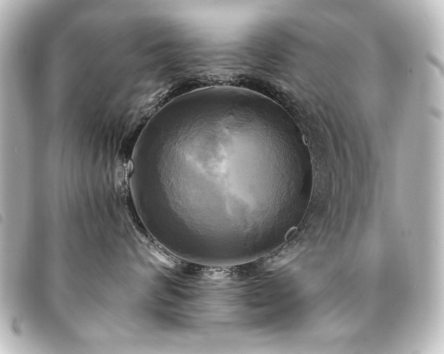 X0000094370624200711021531