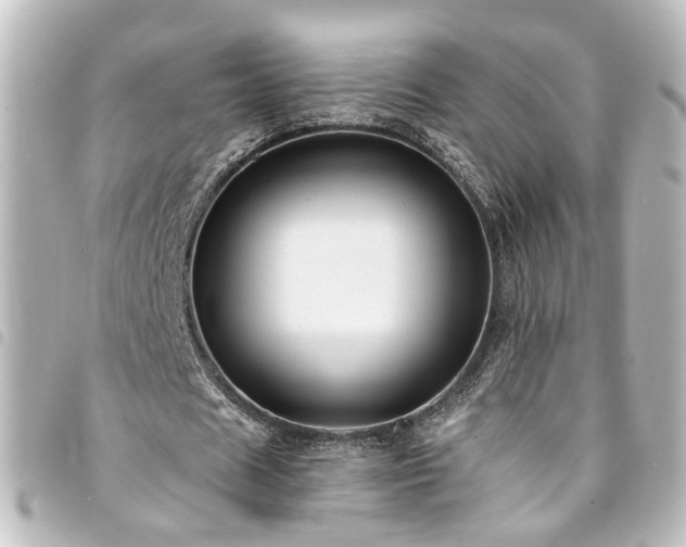 X0000094370625200711021530