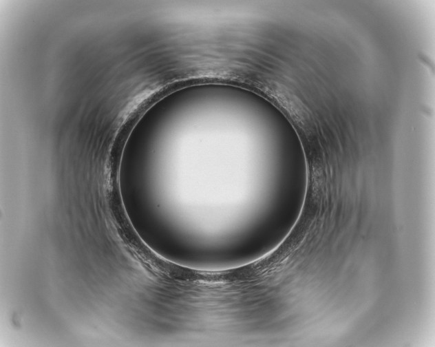 X0000094370628200711021530