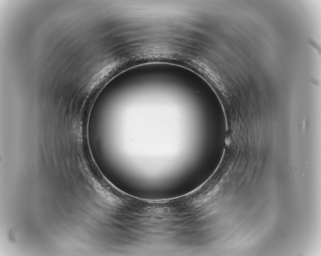 X0000094370629200711021530