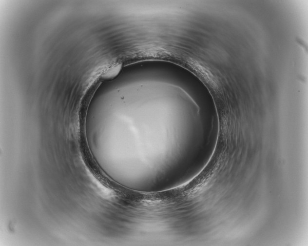 X0000094370630200711021530