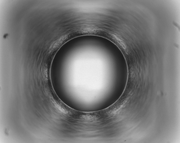 X0000094370633200711021530