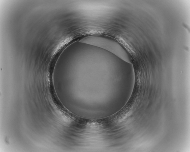 X0000094370634200711021530