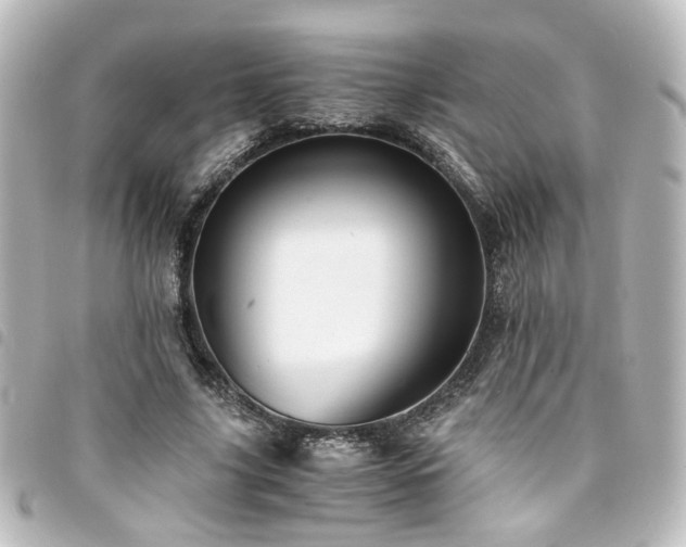 X0000094370635200711021530