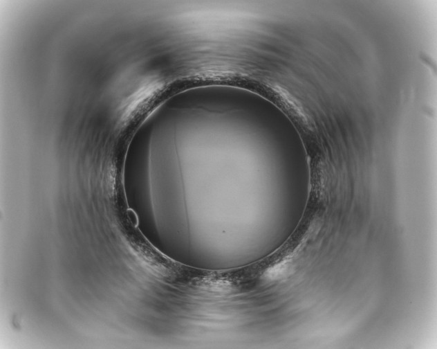 X0000094370640200711021531
