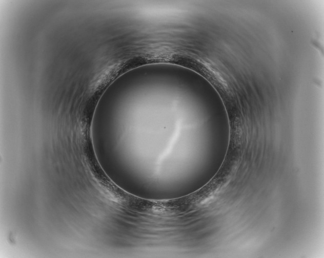 X0000094370641200711021531