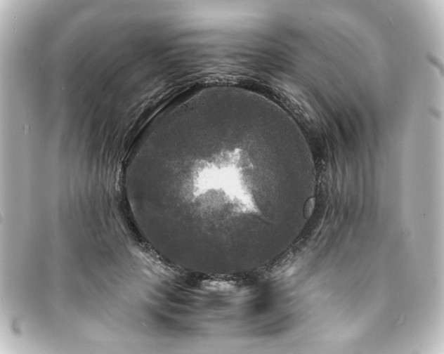 X0000094370649200711021531