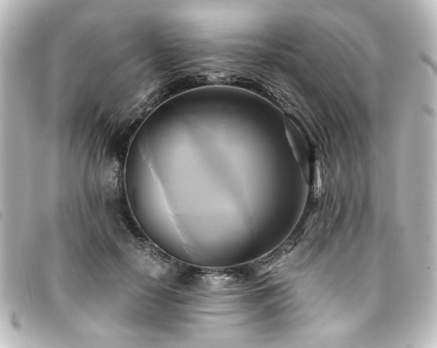 X0000094370650200711021531