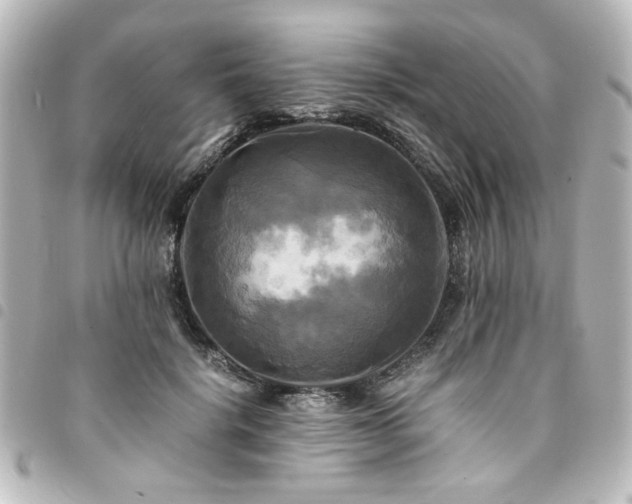 X0000094370652200711021531